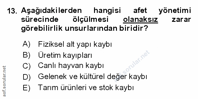 Soru 13