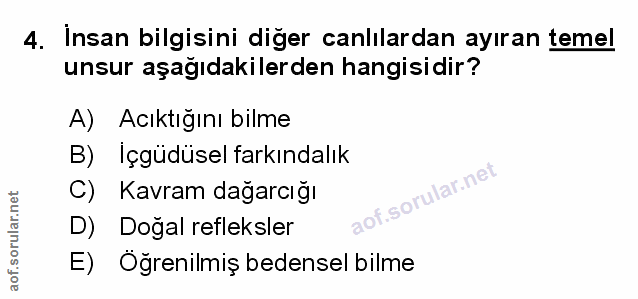 Soru 4
