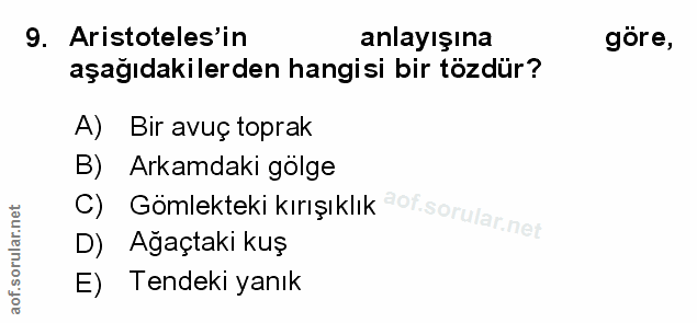 Soru 9
