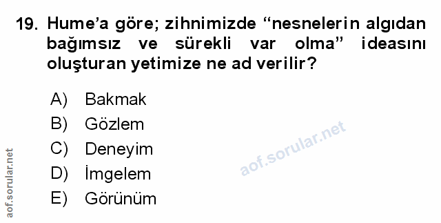 Soru 19