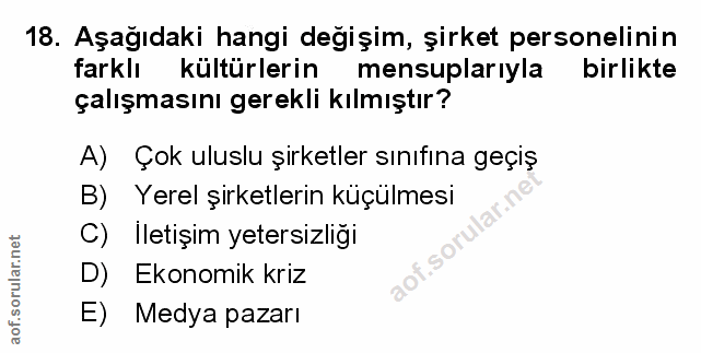 Soru 18