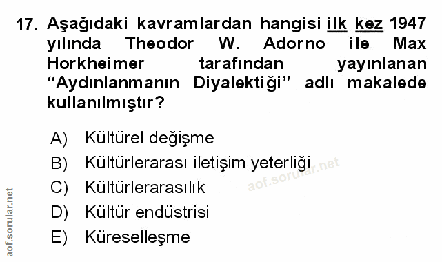 Soru 17
