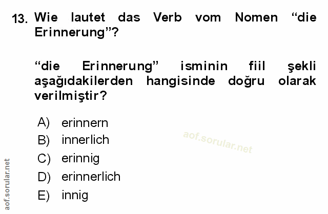 Soru 13