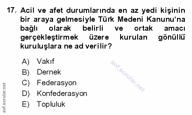 Soru 17