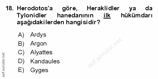 Soru 18