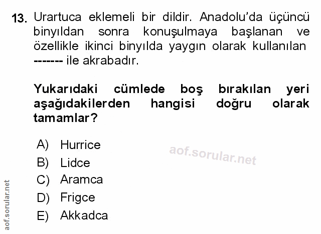 Soru 13