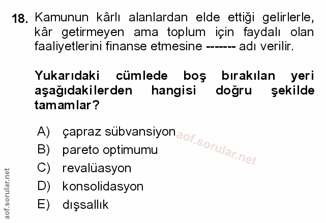 Soru 18