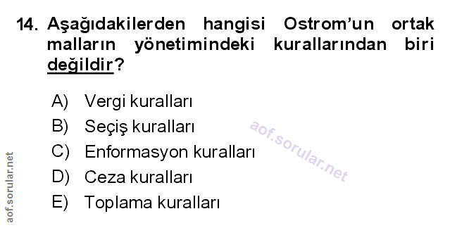 Soru 14