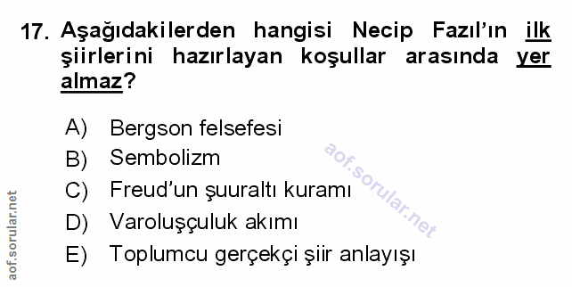Soru 17