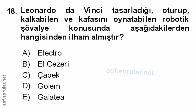Soru 18