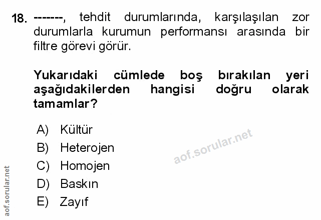 Soru 18