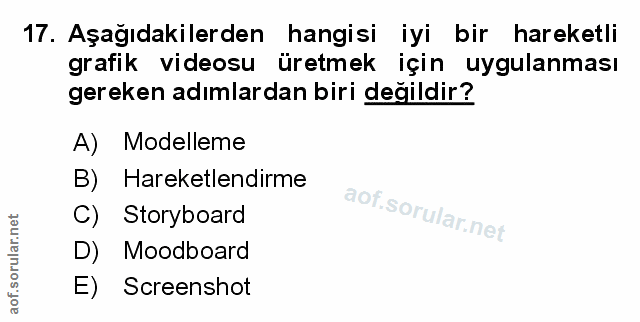Soru 17