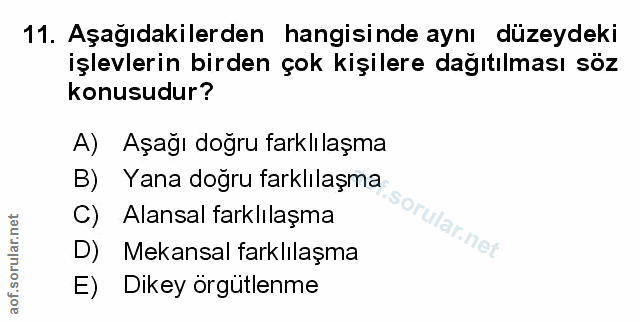 Soru 11