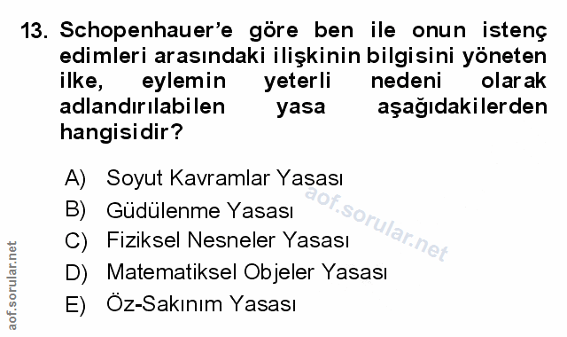 Soru 13