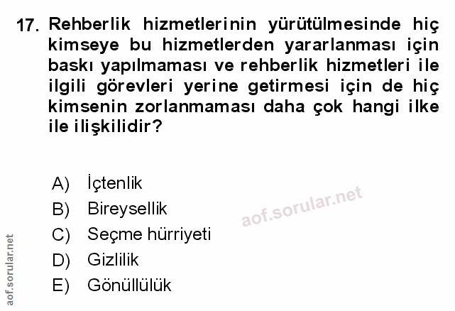 Soru 17