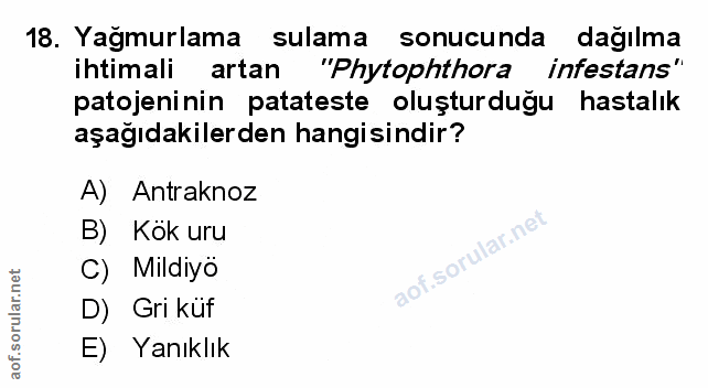 Soru 18