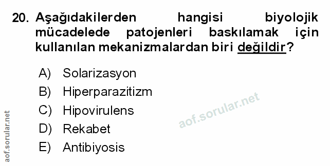 Soru 20