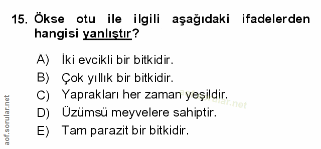 Soru 15