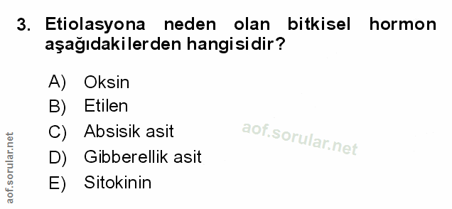 Soru 3