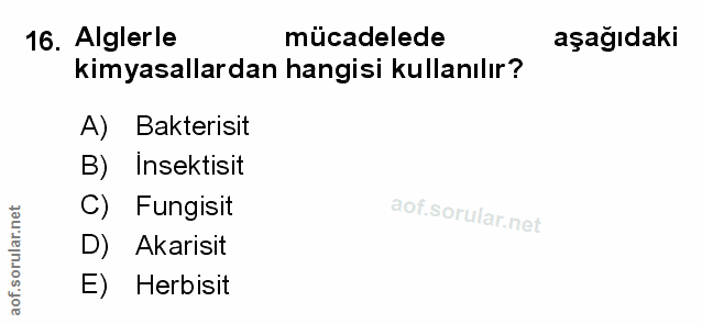 Soru 16