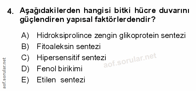 Soru 4