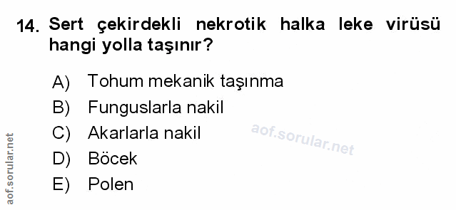 Soru 14
