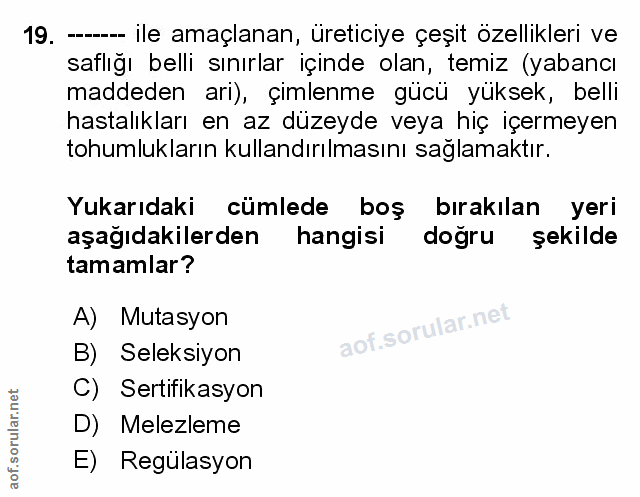 Soru 19