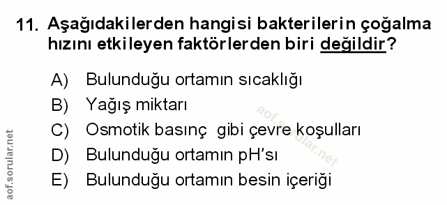 Soru 11