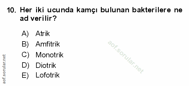 Soru 10