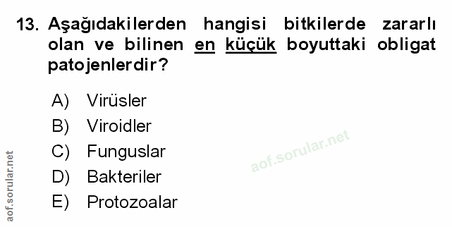 Soru 13