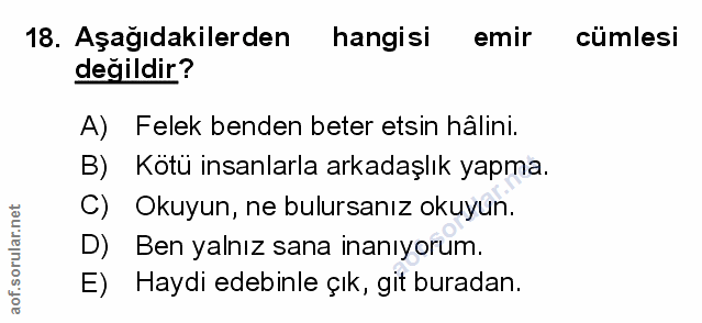 Soru 18