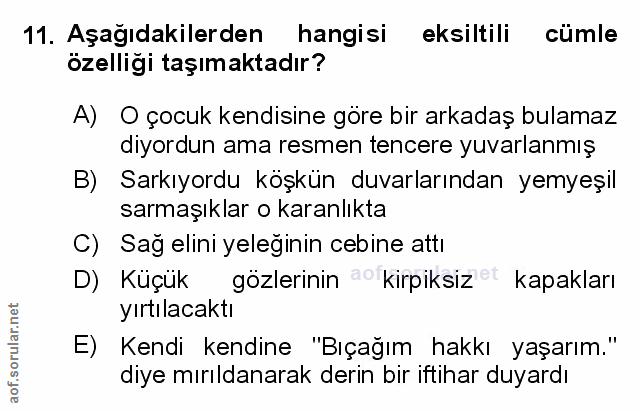 Soru 11