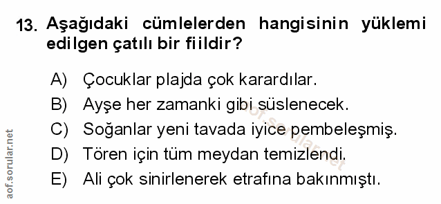 Soru 13