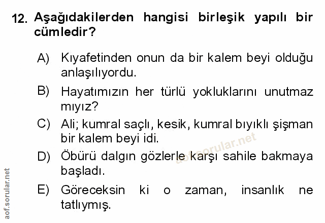 Soru 12