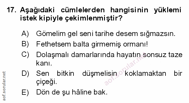Soru 17