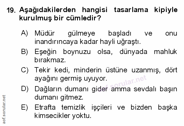 Soru 19