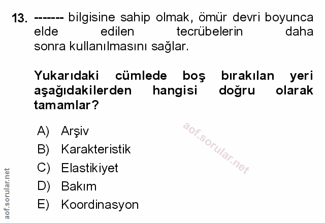 Soru 13