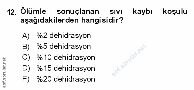 Soru 12