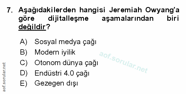 Soru 7