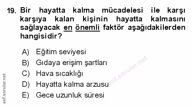 Soru 19