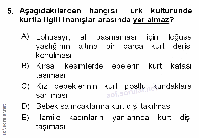 Soru 5