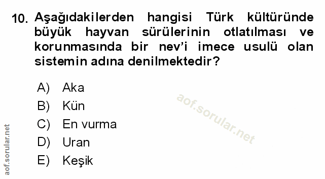 Soru 10