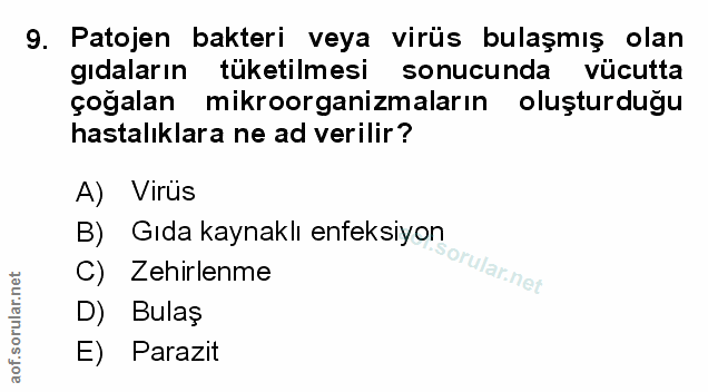 Soru 9