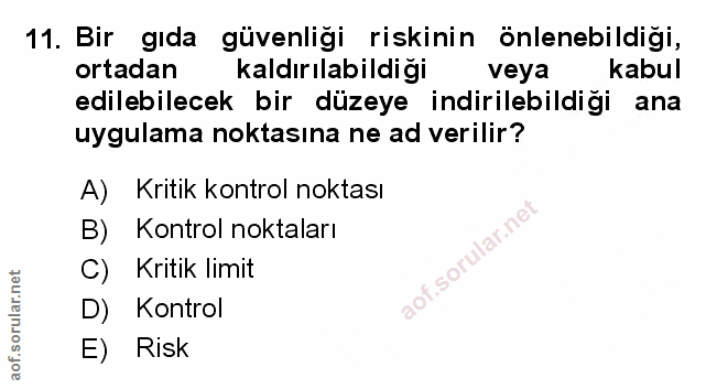 Soru 11