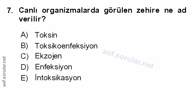 Soru 7