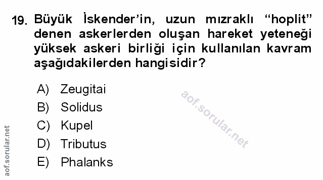 Soru 19