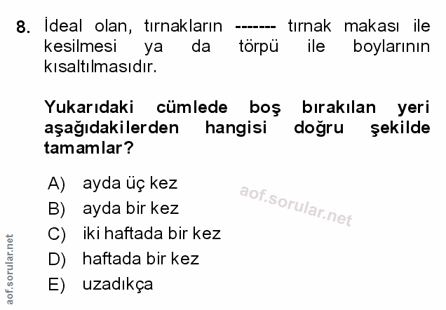 Soru 8