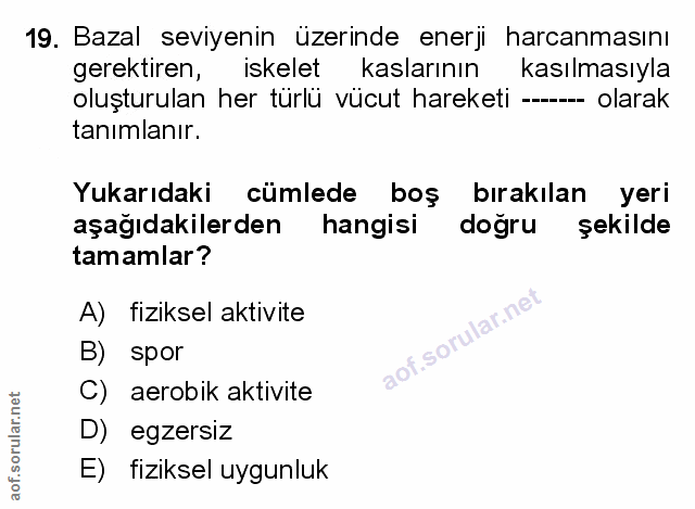 Soru 19