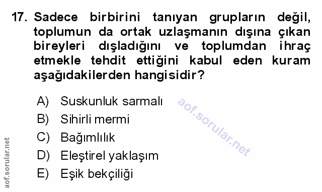 Soru 17