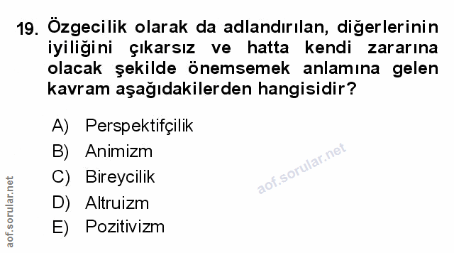 Soru 19